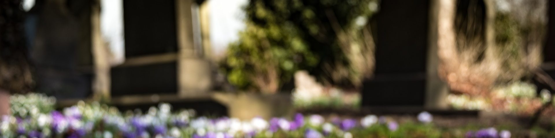 Graveyard 1417871 1920